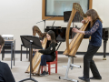 Savourna-harp-workshop